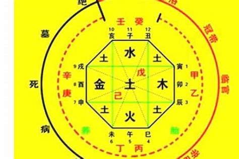 八字喜水木|八字喜水是什么意思 – 八字喜水的基本含义